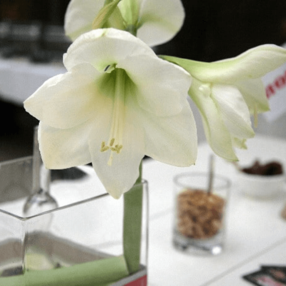 uitvaart catering bloemen