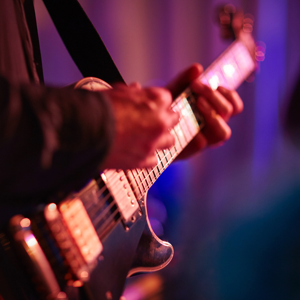 verjaardag catering live muziek op verjaardag